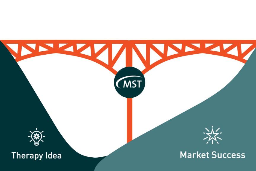 MST Systems House Bridge